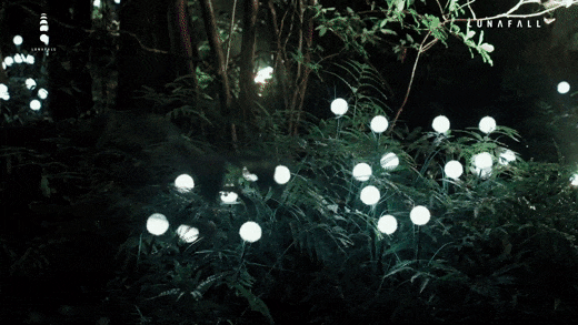 804.gif